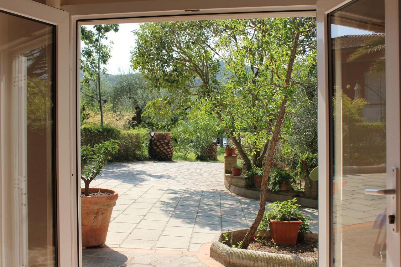 Agriturismo Buen Camino Scarlino Bagian luar foto