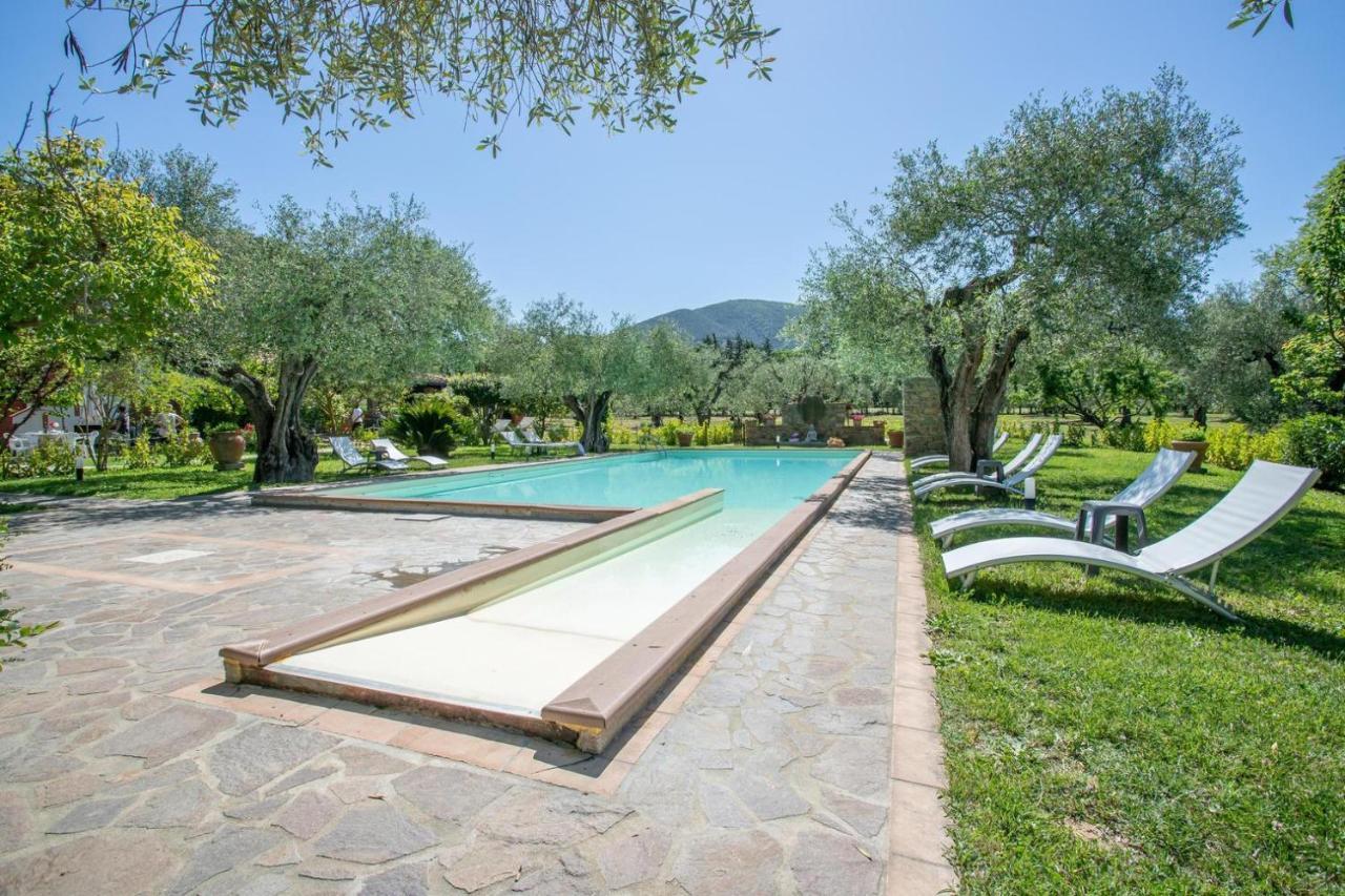 Agriturismo Buen Camino Scarlino Bagian luar foto