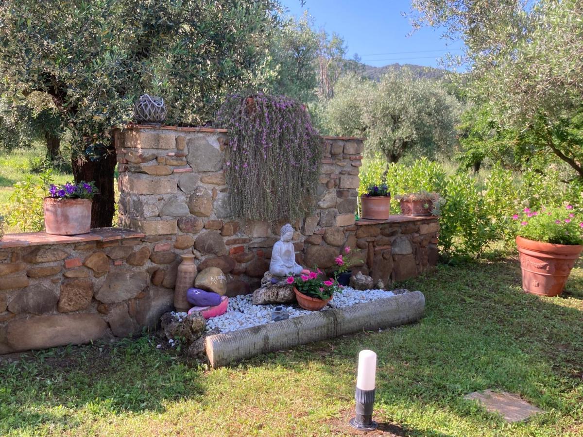 Agriturismo Buen Camino Scarlino Bagian luar foto